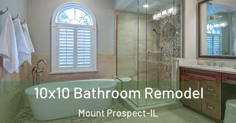 inner Bathroom imggen 10x10 Bathroom Remodel Mount Prospect-IL