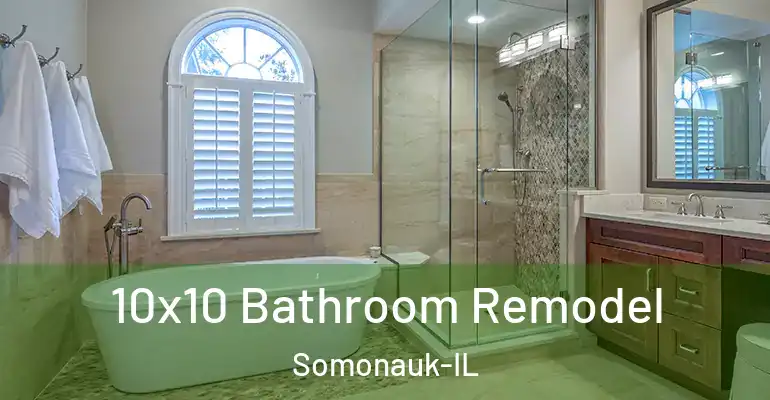 inner Bathroom imggen 10x10 Bathroom Remodel Somonauk-IL