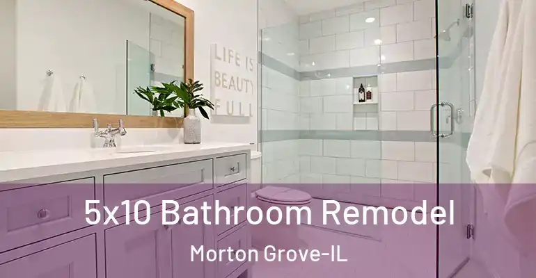 inner Bathroom imggen 5x10 Bathroom Remodel Morton Grove-IL