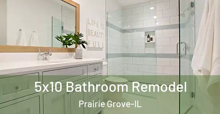 inner Bathroom imggen 5x10 Bathroom Remodel Prairie Grove-IL