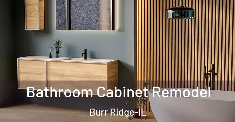 inner Bathroom imggen Bathroom Cabinet Remodel Burr Ridge-IL