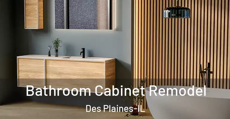 inner Bathroom imggen Bathroom Cabinet Remodel Des Plaines-IL