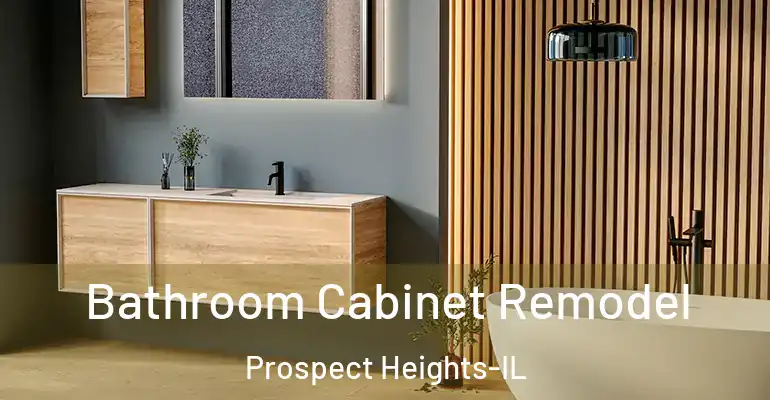 inner Bathroom imggen Bathroom Cabinet Remodel Prospect Heights-IL