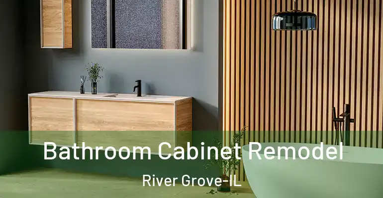 inner Bathroom imggen Bathroom Cabinet Remodel River Grove-IL