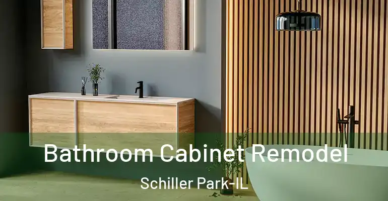inner Bathroom imggen Bathroom Cabinet Remodel Schiller Park-IL
