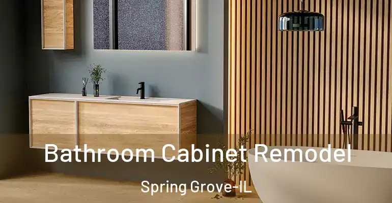inner Bathroom imggen Bathroom Cabinet Remodel Spring Grove-IL