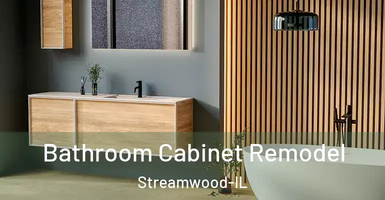 inner Bathroom imggen Bathroom Cabinet Remodel Streamwood-IL