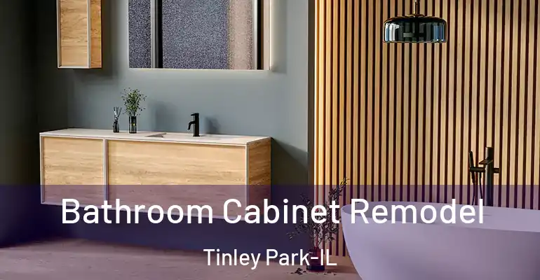 inner Bathroom imggen Bathroom Cabinet Remodel Tinley Park-IL