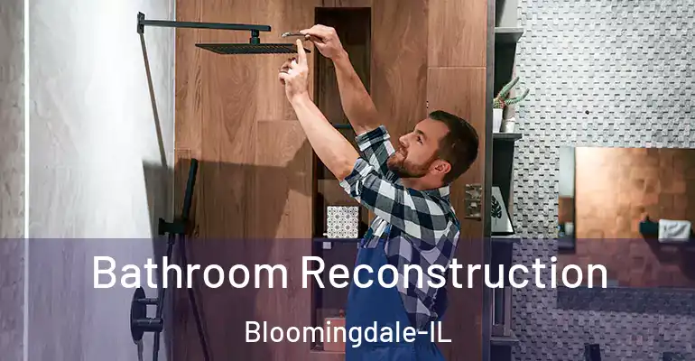inner Bathroom imggen Bathroom Reconstruction Bloomingdale-IL