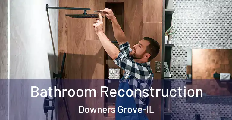 inner Bathroom imggen Bathroom Reconstruction Downers Grove-IL