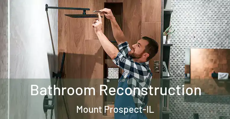 inner Bathroom imggen Bathroom Reconstruction Mount Prospect-IL