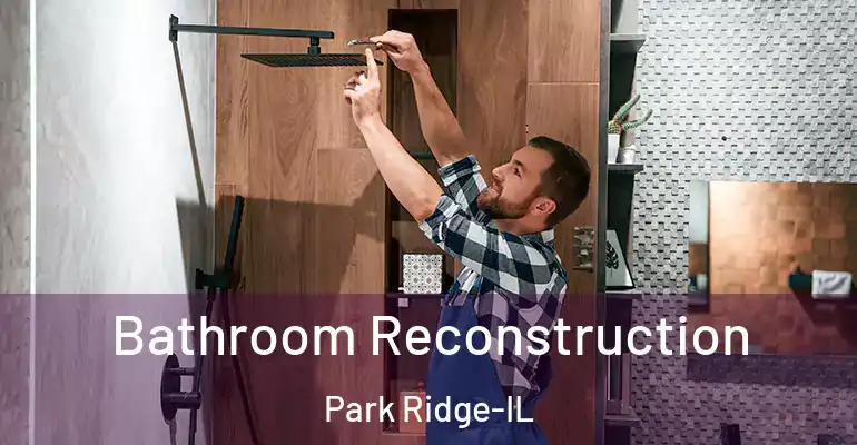 inner Bathroom imggen Bathroom Reconstruction Park Ridge-IL
