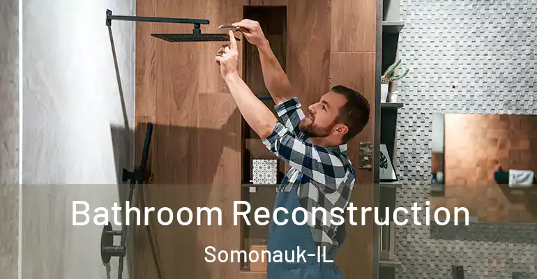 inner Bathroom imggen Bathroom Reconstruction Somonauk-IL