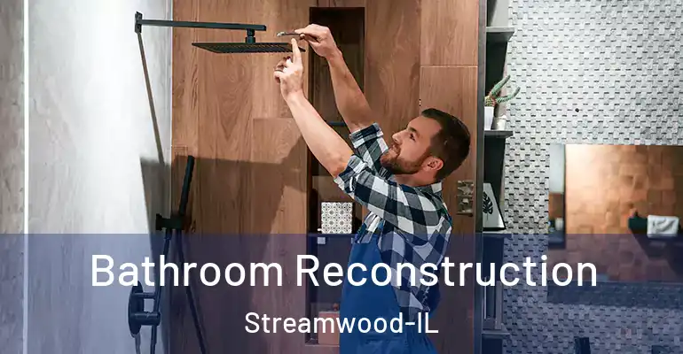 inner Bathroom imggen Bathroom Reconstruction Streamwood-IL
