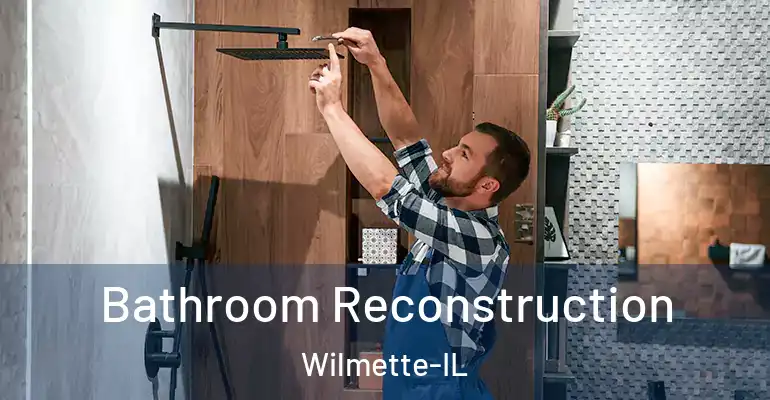 inner Bathroom imggen Bathroom Reconstruction Wilmette-IL
