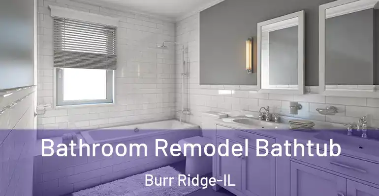 inner Bathroom imggen Bathroom Remodel Bathtub Burr Ridge-IL