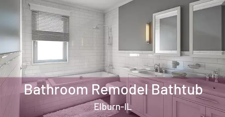 inner Bathroom imggen Bathroom Remodel Bathtub Elburn-IL
