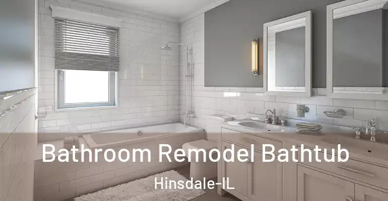 inner Bathroom imggen Bathroom Remodel Bathtub Hinsdale-IL