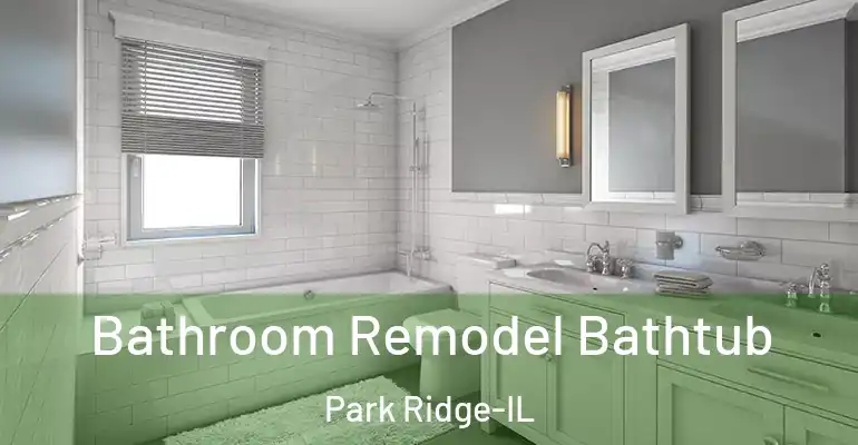 inner Bathroom imggen Bathroom Remodel Bathtub Park Ridge-IL