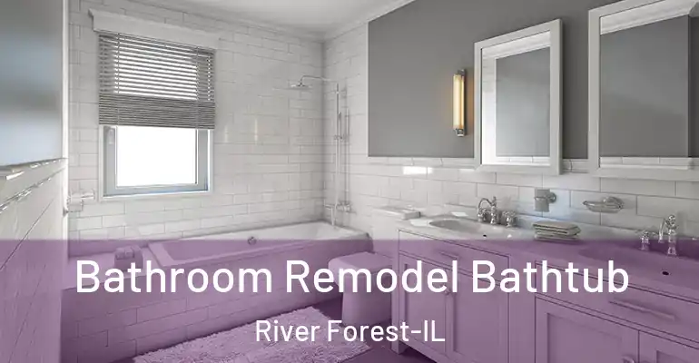 inner Bathroom imggen Bathroom Remodel Bathtub River Forest-IL
