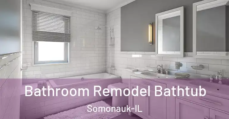 inner Bathroom imggen Bathroom Remodel Bathtub Somonauk-IL