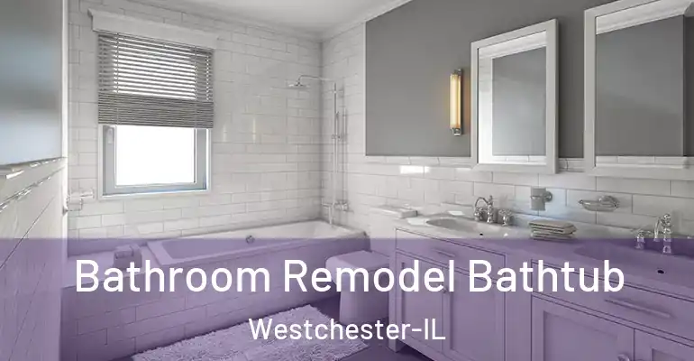 inner Bathroom imggen Bathroom Remodel Bathtub Westchester-IL
