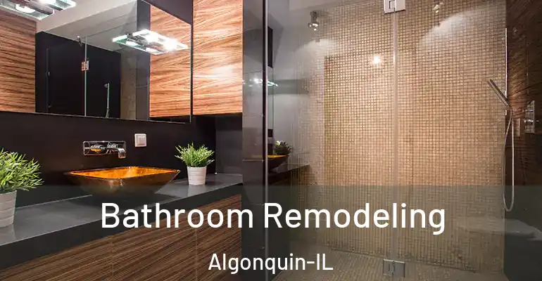 inner Bathroom imggen Bathroom Remodeling Algonquin-IL