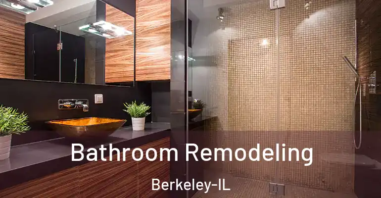 inner Bathroom imggen Bathroom Remodeling Berkeley-IL
