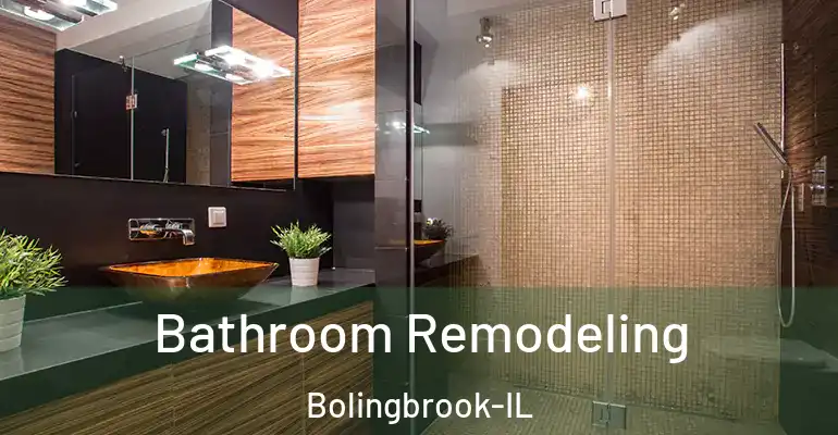 inner Bathroom imggen Bathroom Remodeling Bolingbrook-IL