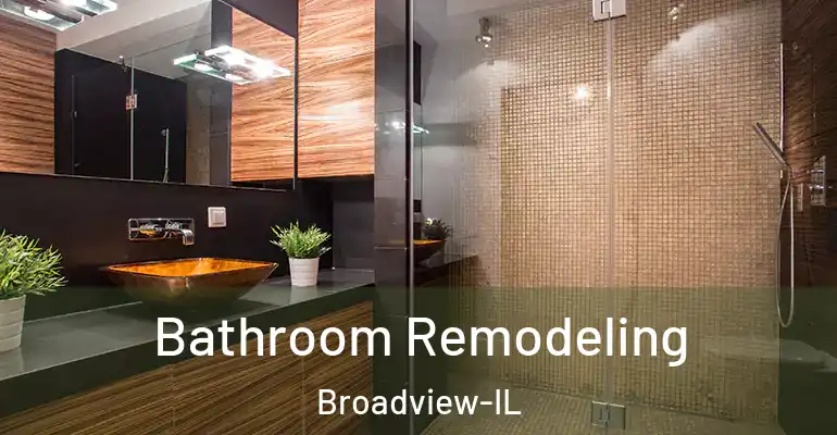 inner Bathroom imggen Bathroom Remodeling Broadview-IL