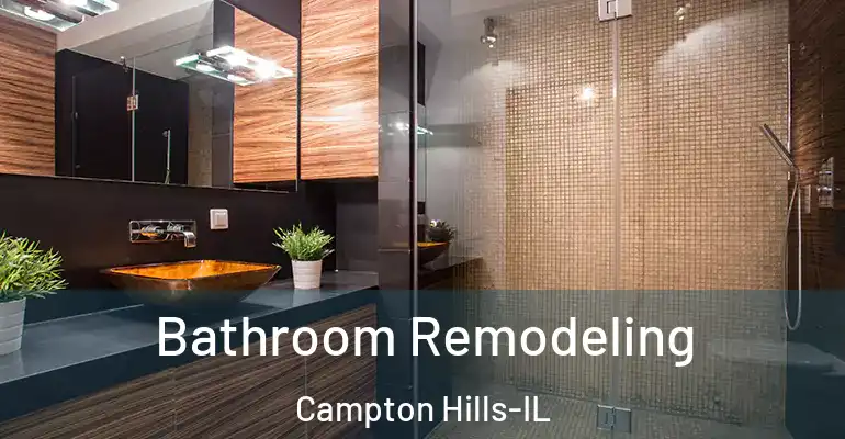 inner Bathroom imggen Bathroom Remodeling Campton Hills-IL