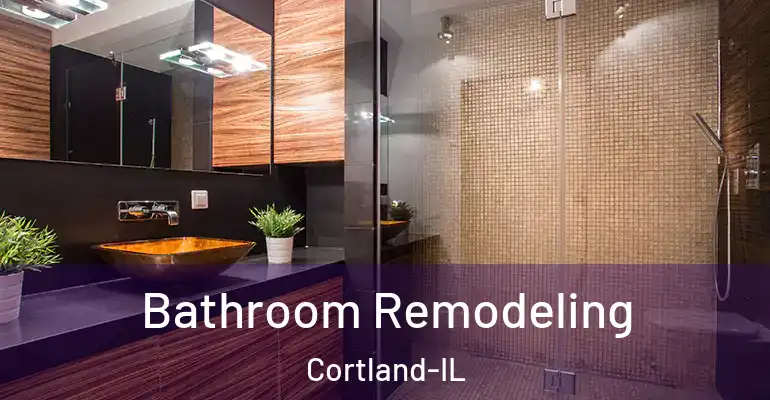 inner Bathroom imggen Bathroom Remodeling Cortland-IL