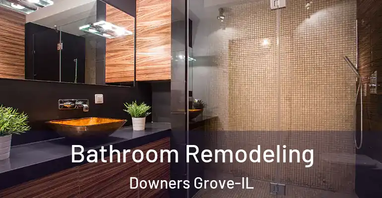 inner Bathroom imggen Bathroom Remodeling Downers Grove-IL
