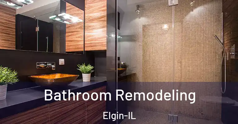 inner Bathroom imggen Bathroom Remodeling Elgin-IL