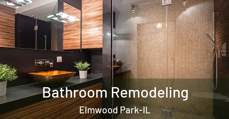 inner Bathroom imggen Bathroom Remodeling Elmwood Park-IL