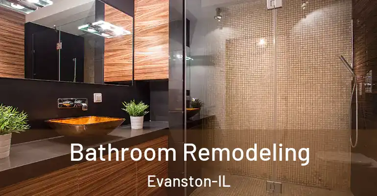 inner Bathroom imggen Bathroom Remodeling Evanston-IL