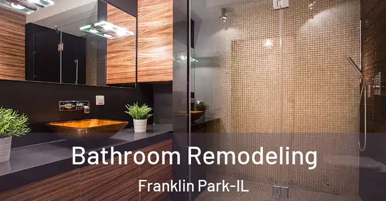 inner Bathroom imggen Bathroom Remodeling Franklin Park-IL