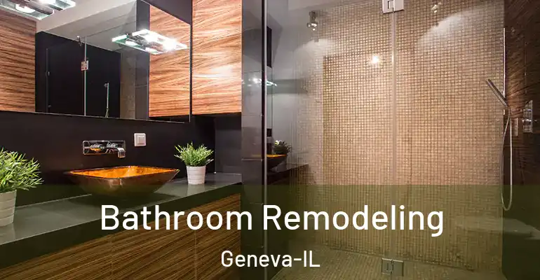 inner Bathroom imggen Bathroom Remodeling Geneva-IL