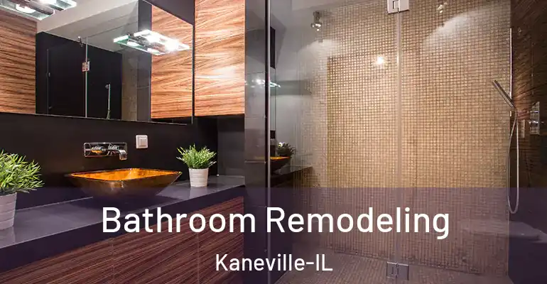 inner Bathroom imggen Bathroom Remodeling Kaneville-IL