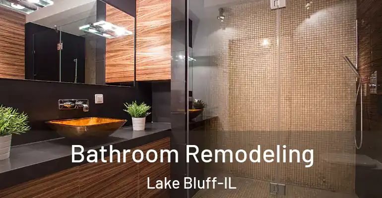 inner Bathroom imggen Bathroom Remodeling Lake Bluff-IL