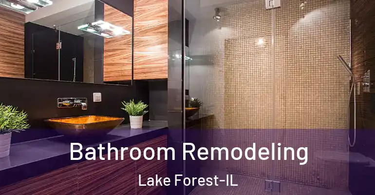 inner Bathroom imggen Bathroom Remodeling Lake Forest-IL