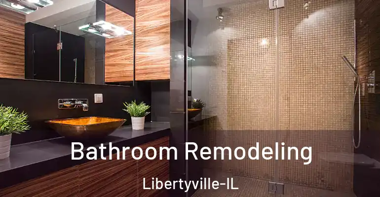inner Bathroom imggen Bathroom Remodeling Libertyville-IL