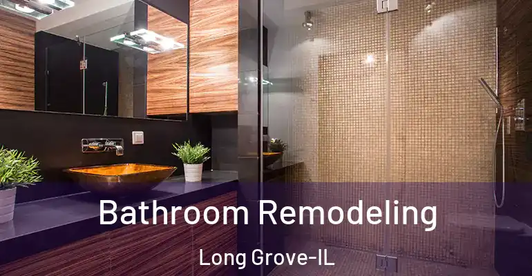 inner Bathroom imggen Bathroom Remodeling Long Grove-IL