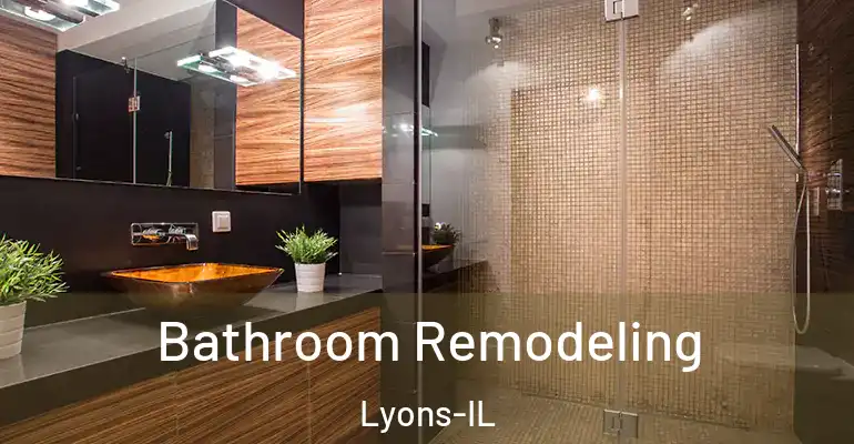 inner Bathroom imggen Bathroom Remodeling Lyons-IL