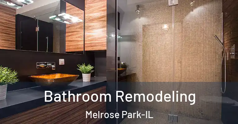 inner Bathroom imggen Bathroom Remodeling Melrose Park-IL