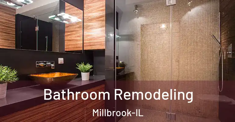 inner Bathroom imggen Bathroom Remodeling Millbrook-IL