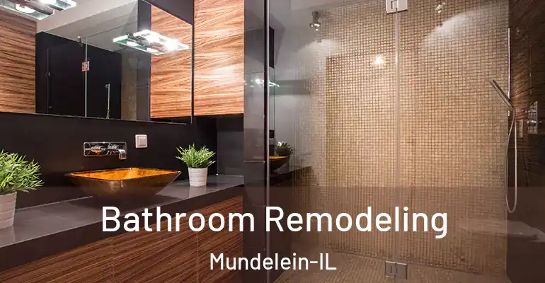 inner Bathroom imggen Bathroom Remodeling Mundelein-IL