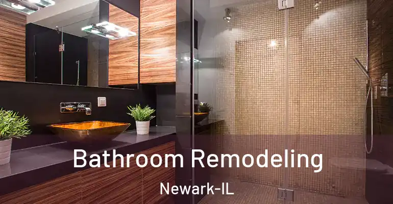 inner Bathroom imggen Bathroom Remodeling Newark-IL