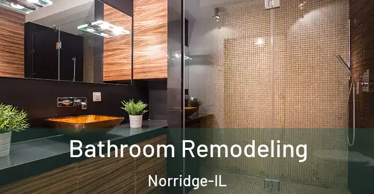 inner Bathroom imggen Bathroom Remodeling Norridge-IL