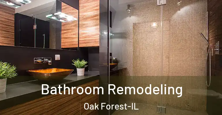 inner Bathroom imggen Bathroom Remodeling Oak Forest-IL